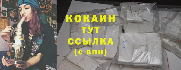 Альфа ПВП Ельня