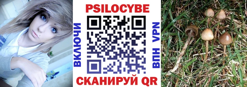 Галлюциногенные грибы мухоморы  Купить  Ульяновск 