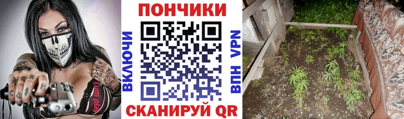 Купить где  Ульяновск  Марихуана индика 